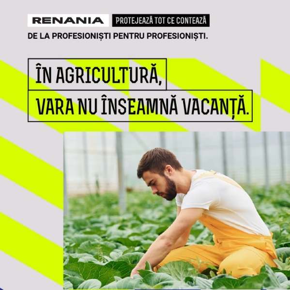Renania & Infinit Solutions11
